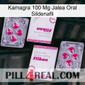 Kamagra 100 Mg Oral Jelly Sildenafil 33